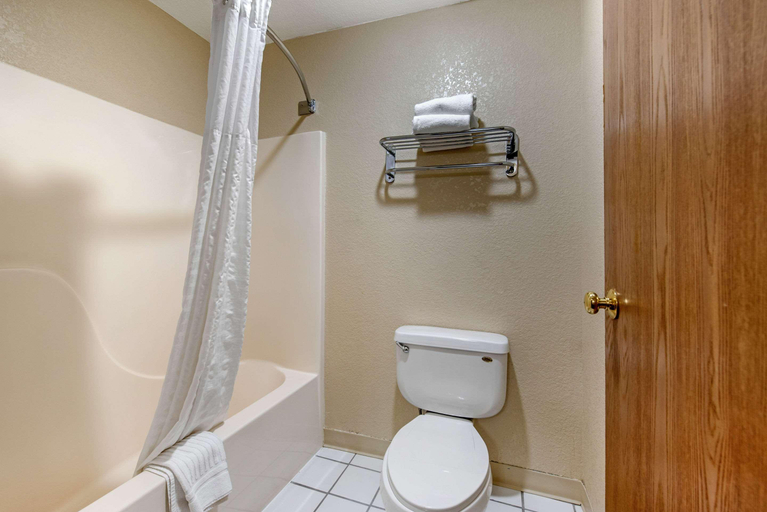 Bathroom 5, Comfort Inn Denver Southeast Area, Arapahoe