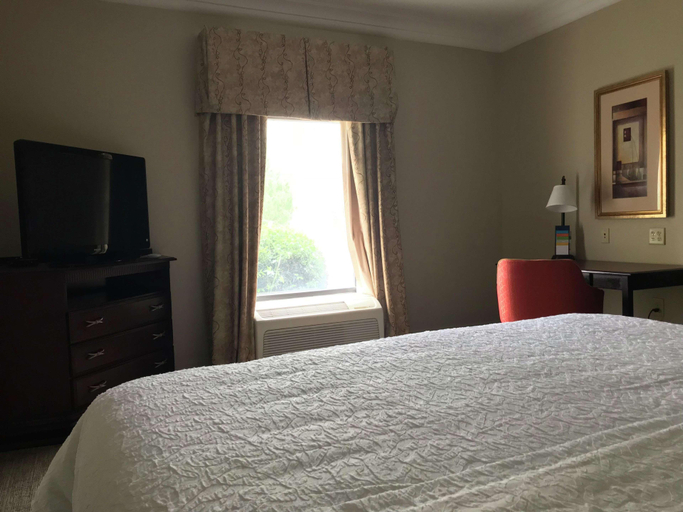 Bedroom 4, Hampton Inn Vidalia, Toombs