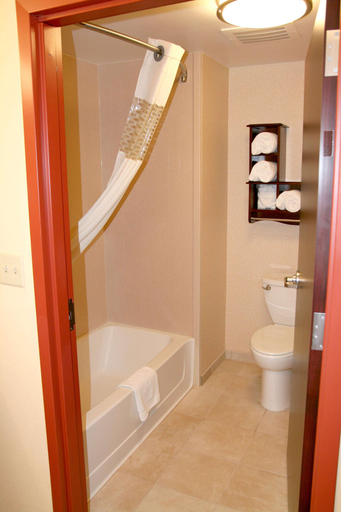 Bathroom 4, Hampton Inn & Suites Denver/Highlands Ranch, Arapahoe