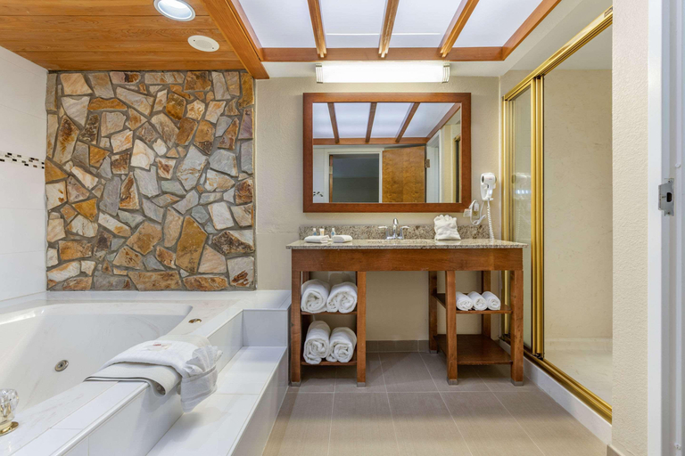 Bathroom 4, Comfort Inn & Suites Clemson - University Area, Pickens