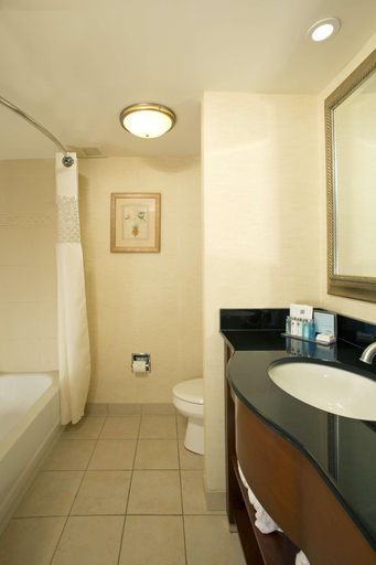 Bathroom 4, Hampton Inn Alexandria/Pentagon South, Fairfax