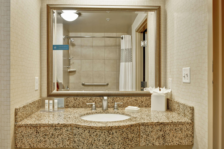 Bathroom 4, Hampton Inn by Hilton Silver Spring Washington DC, Montgomery