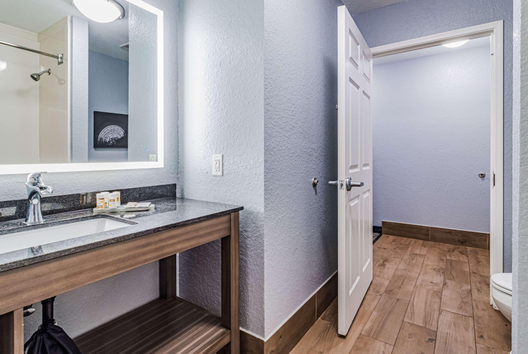 Bathroom 4, La Quinta Inn & Suites Tomball, Houston