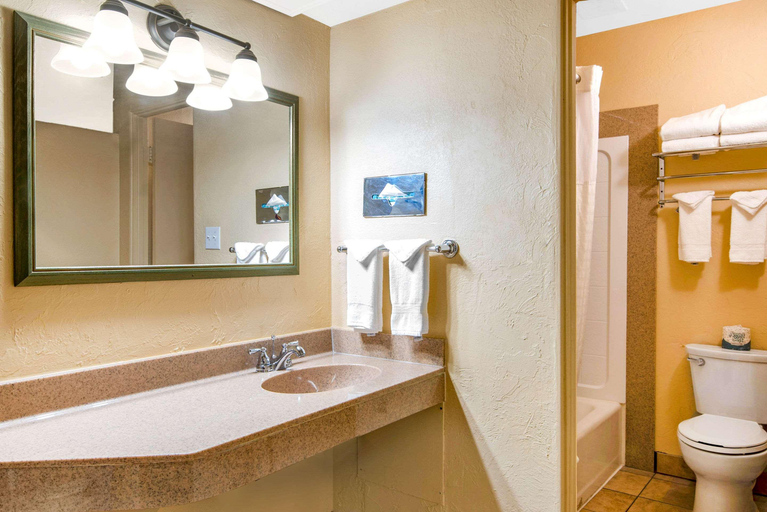 Bathroom 4, Econo Lodge Inn & Suites Durango, La Plata