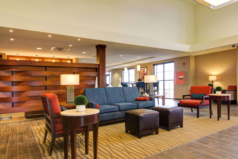 Public Area 2, Comfort Suites Carlsbad, Eddy