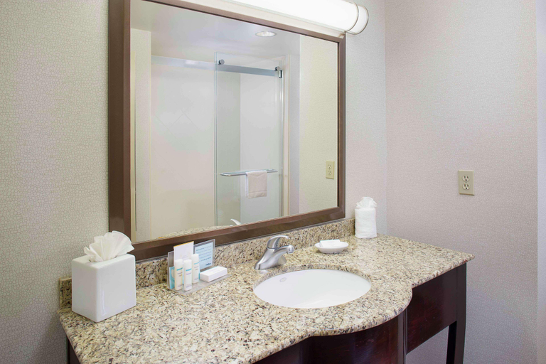 Bathroom 4, Hampton Inn Garden City Long Island, Nassau