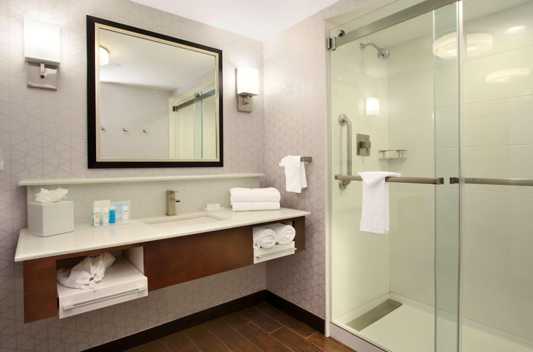 Bathroom 4, Hampton Inn & Suites Rockville Centre, Nassau