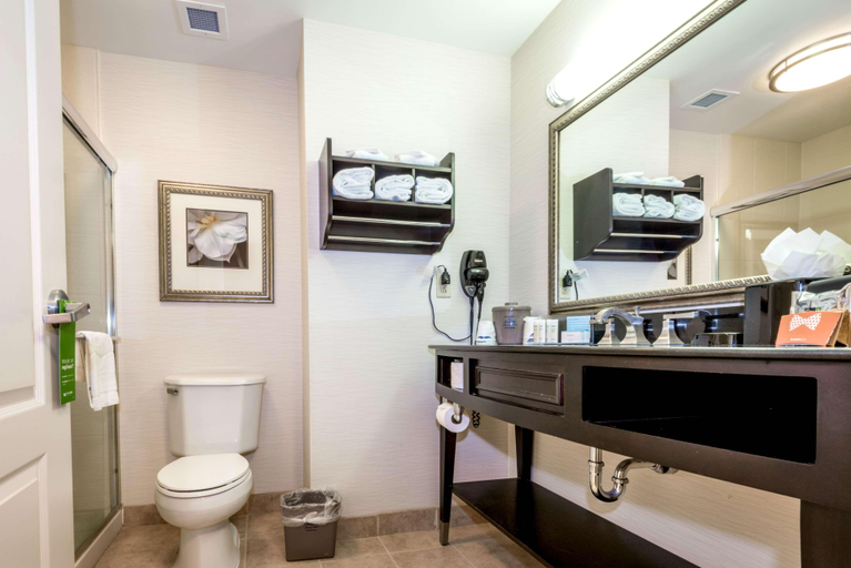Bathroom 4, Hampton Inn & Suites Montgomery-Downtown, Montgomery