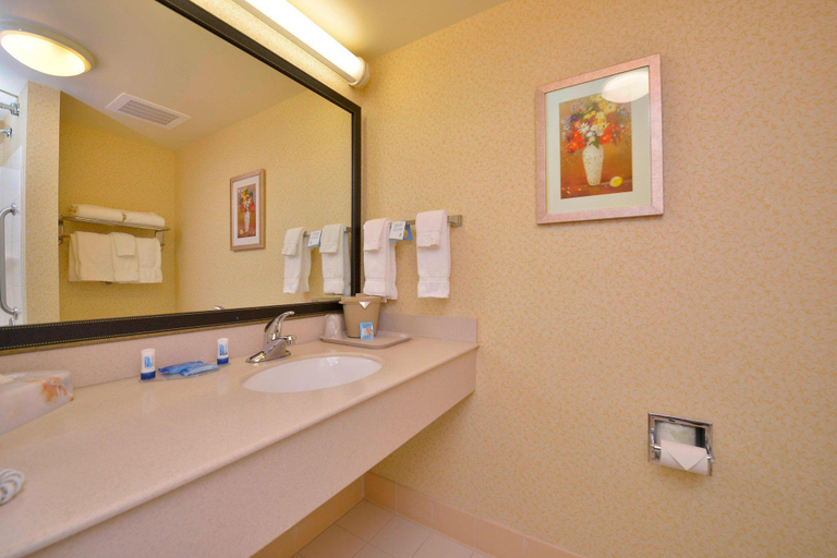 Bathroom 4, Fairfield Inn & Suites by Marriott Williamsport, Lycoming