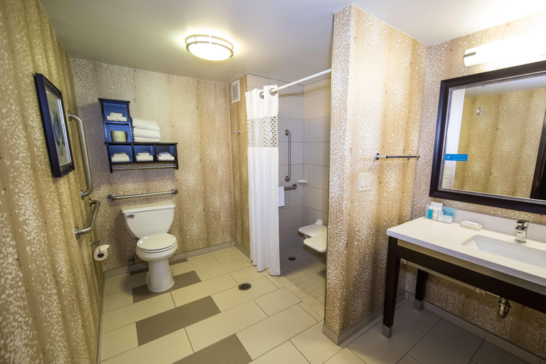 Bathroom 4, Hampton Inn & Suites Alpharetta, Fulton