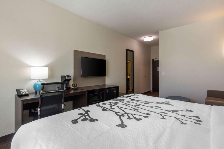 Bedroom 3, Sleep Inn & Suites Tampa South, Hillsborough