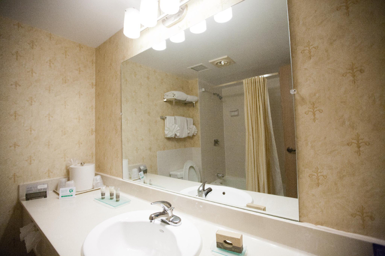 Bathroom 4, Chateau Hotel and Conference Center, McLean