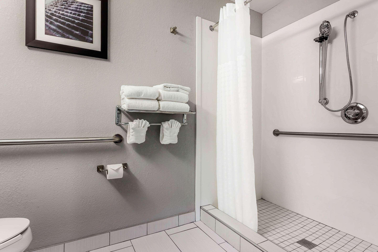 Bathroom, Quality Suites Pineville - Charlotte, Mecklenburg