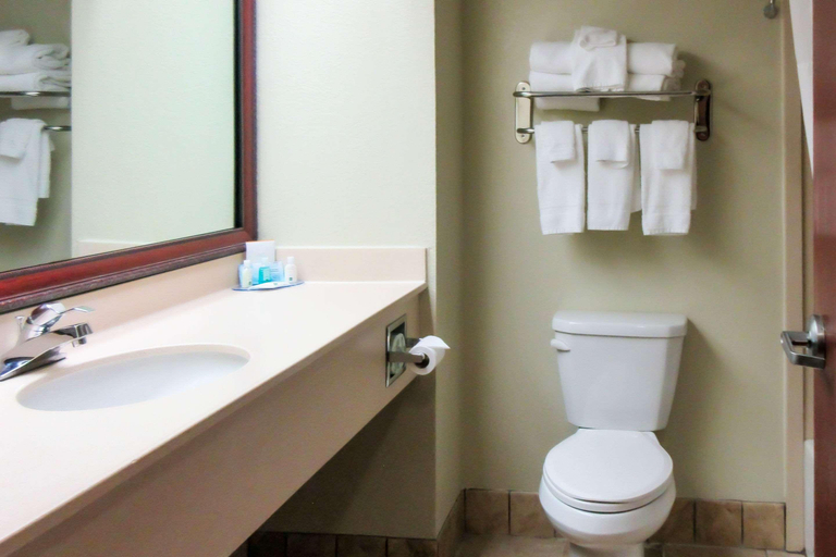 Bathroom 4, Quality Inn & Suites Quincy - Downtown, Adams