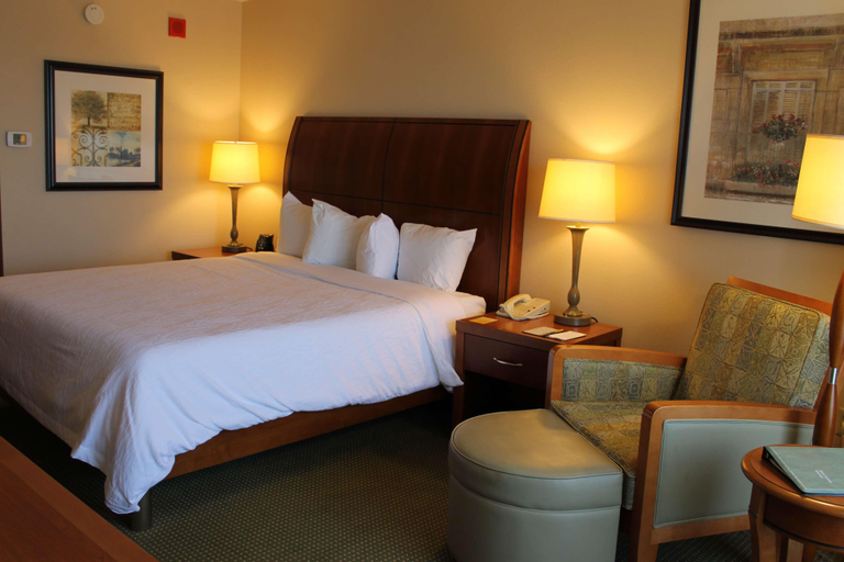 Bedroom 3, Hilton Garden Inn Addison, Dupage