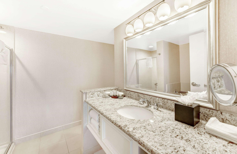 Bathroom 4, Embassy Suites by Hilton Anaheim Orange, Orange