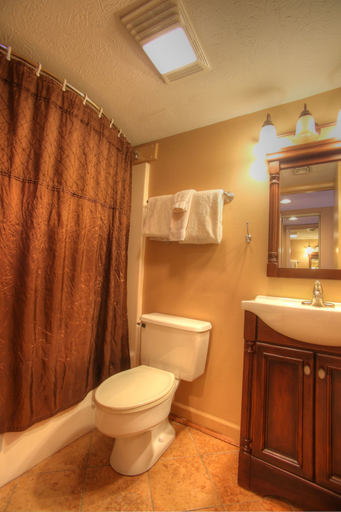 Bathroom 5, Deer Ridge Mountain Resort, Sevier