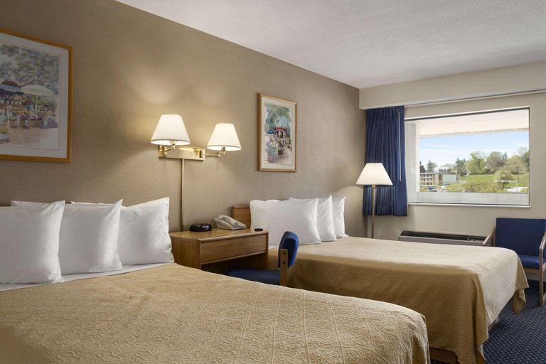Bedroom 3, Red Roof Inn Somerset, PA, Somerset