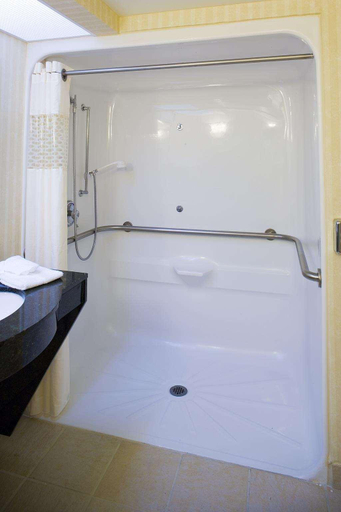 Bathroom 5, Hampton Inn Asheville-I-240 Tunnel Rd., Buncombe
