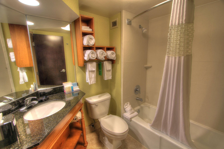 Bathroom 4, Hampton Inn Gatlinburg , Sevier