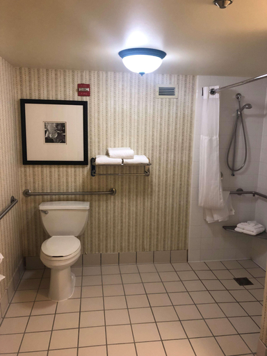 Bathroom 4, Hilton Garden Inn Addison, Dupage