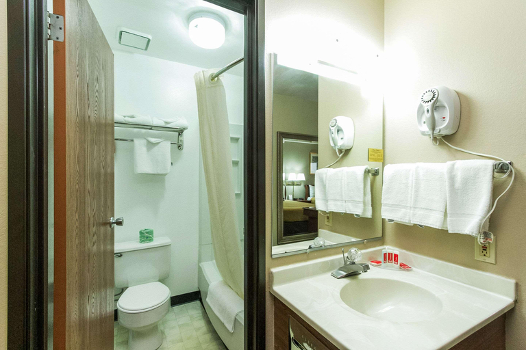 Bathroom 5, Econo Lodge Inn & Suites Des Moines - Merle Hay Rd, Polk