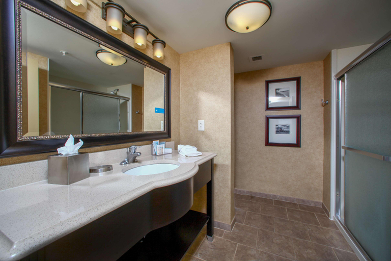 Bathroom 4, Hampton Inn Atlanta-Canton, Cherokee