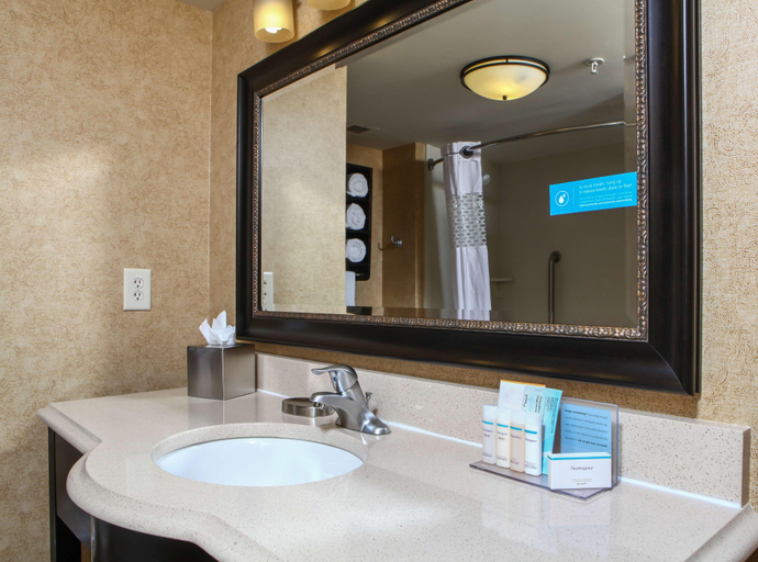 Bathroom 4, Hampton Inn Atlanta-Canton, Cherokee