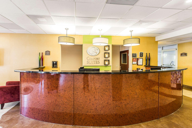 Public Area 2, Comfort Suites Forsyth near I-75, Monroe