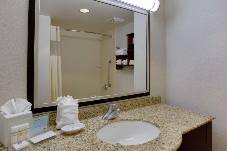 Bathroom 4, Hampton Inn Garden City Long Island, Nassau