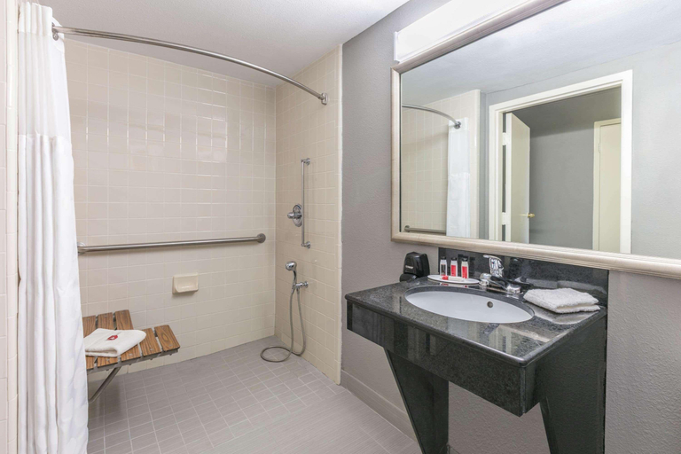 Bathroom 4, Ramada by Wyndham Texarkana, Miller