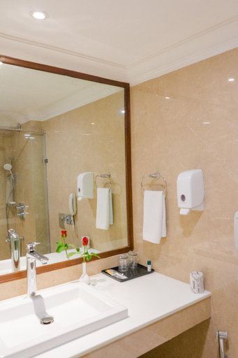 Bathroom 3, Gemini Continental, Lucknow