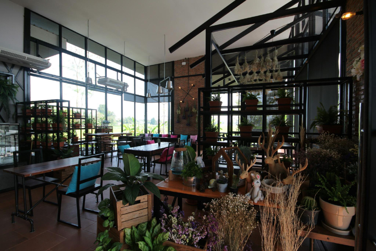 Food & Drinks 5, Rock and Loft Cafe & Resort Chiang Mai, San Kamphaeng