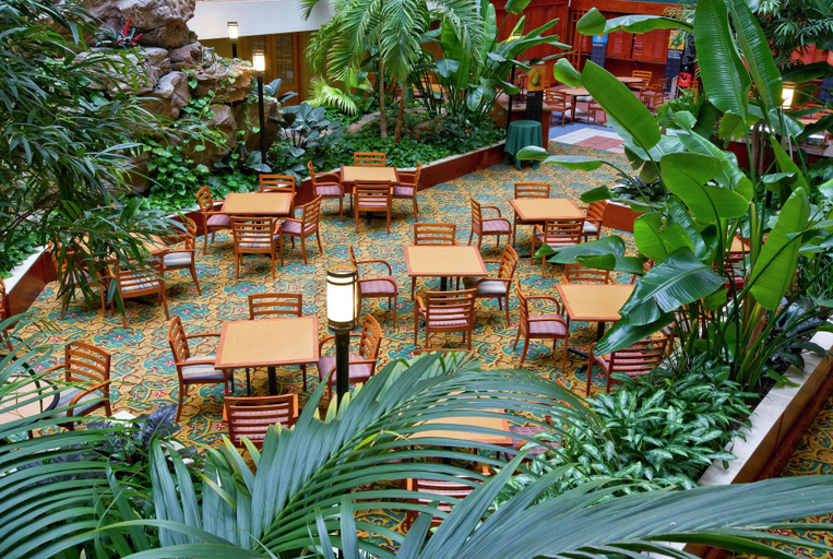 Public Area 5, Embassy Suites by Hilton Chicago O'Hare Rosemont, Cook