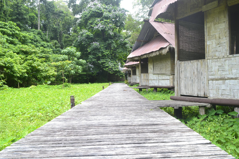 Exterior & Views 3, The Forest Elephant - Formerly known as the Flying Elephant, South Andaman