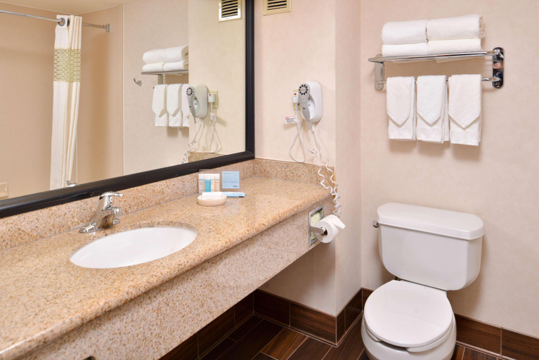 Bathroom 4, Hampton Inn San Francisco-Daly City, San Mateo