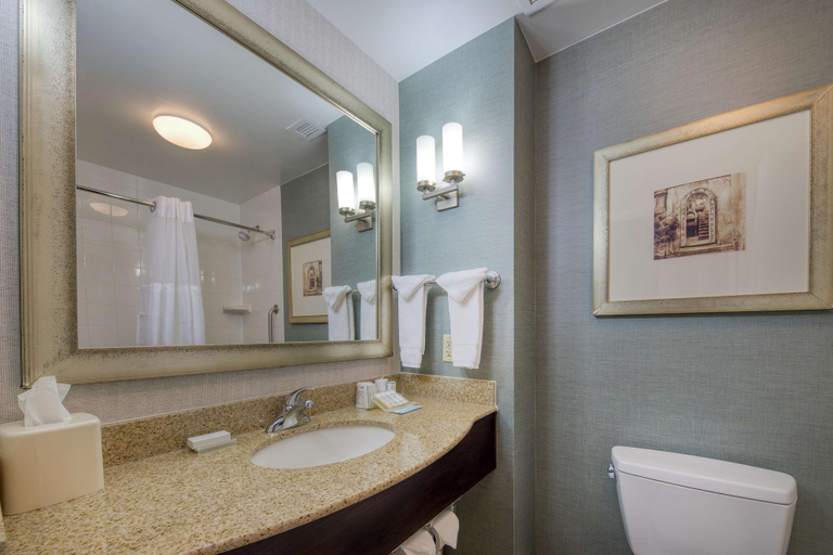 Bathroom 4, Hilton Garden Inn Durham Southpoint, Durham