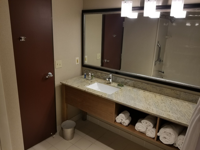 Bathroom 4, Radisson Hotel Detroit Farmington Hills, Oakland