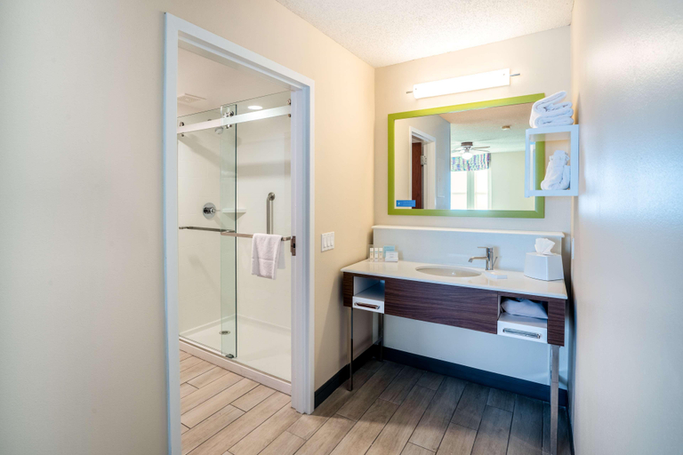 Bathroom 4, Hampton Inn & Suites West Little Rock, Pulaski