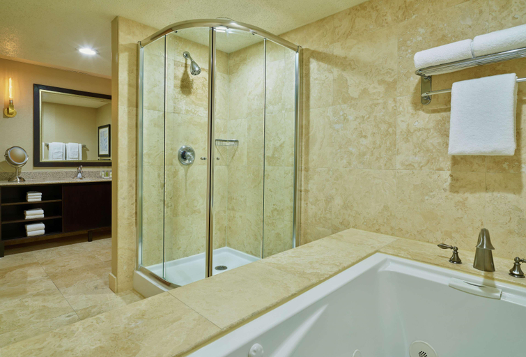 Bathroom 5, Doubletree Hotel Houston Intercontinental, Houston