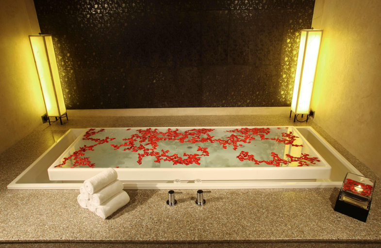 Bathroom 5, Radisson Blu Plaza Delhi, Delhi
