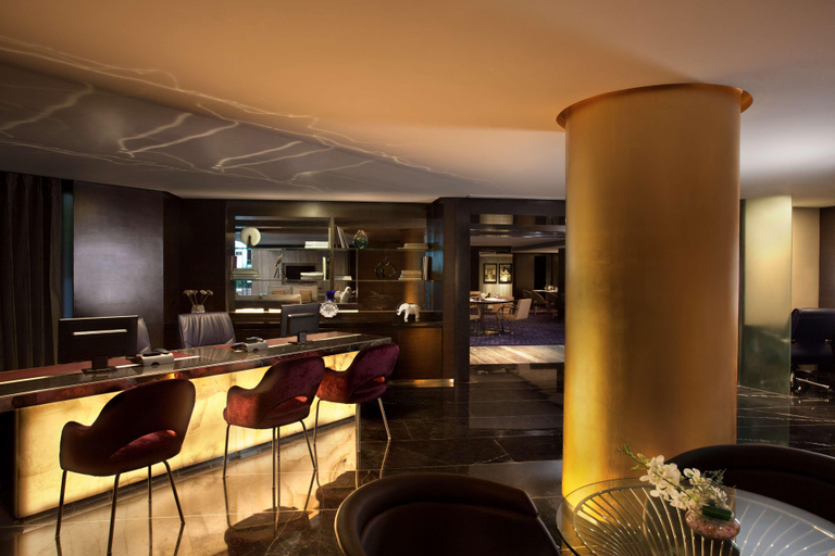 Public Area 4, Radisson Blu Plaza Delhi, Delhi
