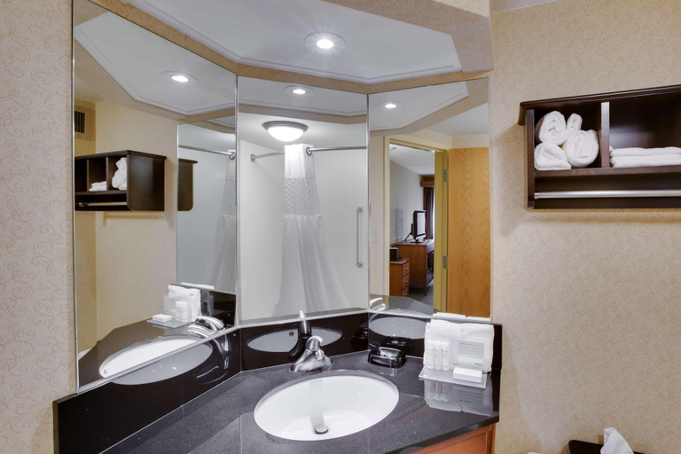 Bathroom 4, Hampton Inn Pittsburgh/Greentree, Allegheny