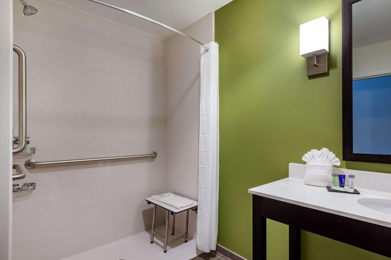 Bathroom 4, Sleep Inn & Suites Tampa South, Hillsborough