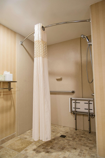 Bathroom 4, Hampton Inn Louisville-Airport, Jefferson