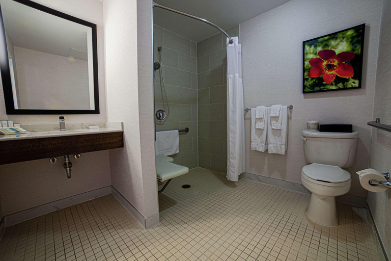 Bathroom 5, Hilton Garden Inn Montreal Airport, Montréal