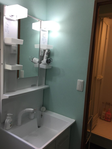 Bathroom 3, Tsukushi House, Taitō