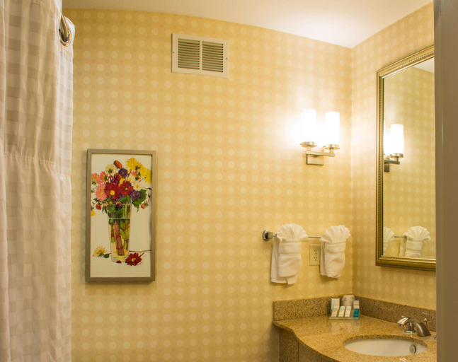 Bathroom 5, Hilton Garden Inn Elkhart, Elkhart