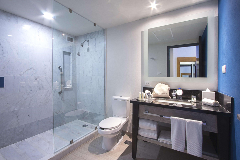 Bathroom, DoubleTree by Hilton Hotel Veracruz, Veracruz