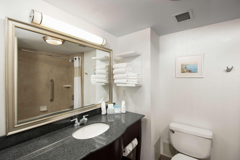 Bathroom 5, Hampton Inn & Suites by Hilton Barrie, Simcoe